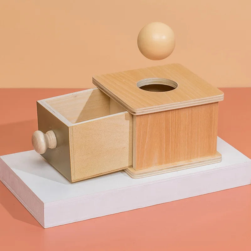 Spin & Sort Discovery Box