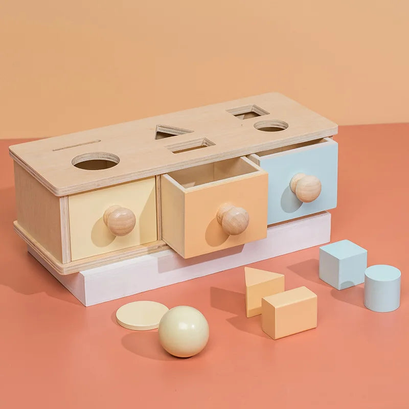 Spin & Sort Discovery Box
